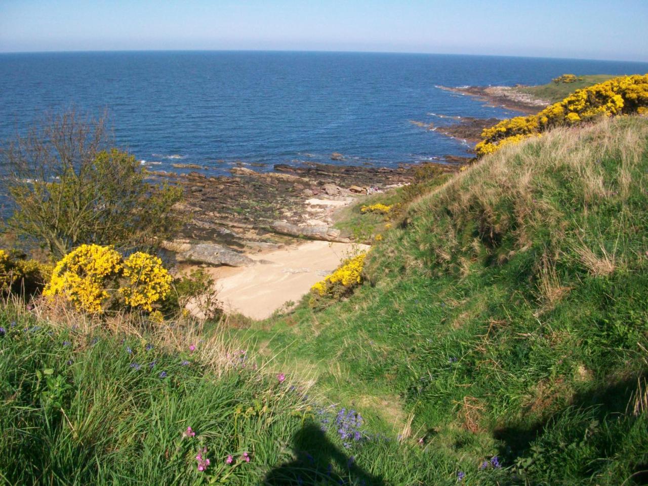 Carnegie Holiday Cottage 던펌린 외부 사진